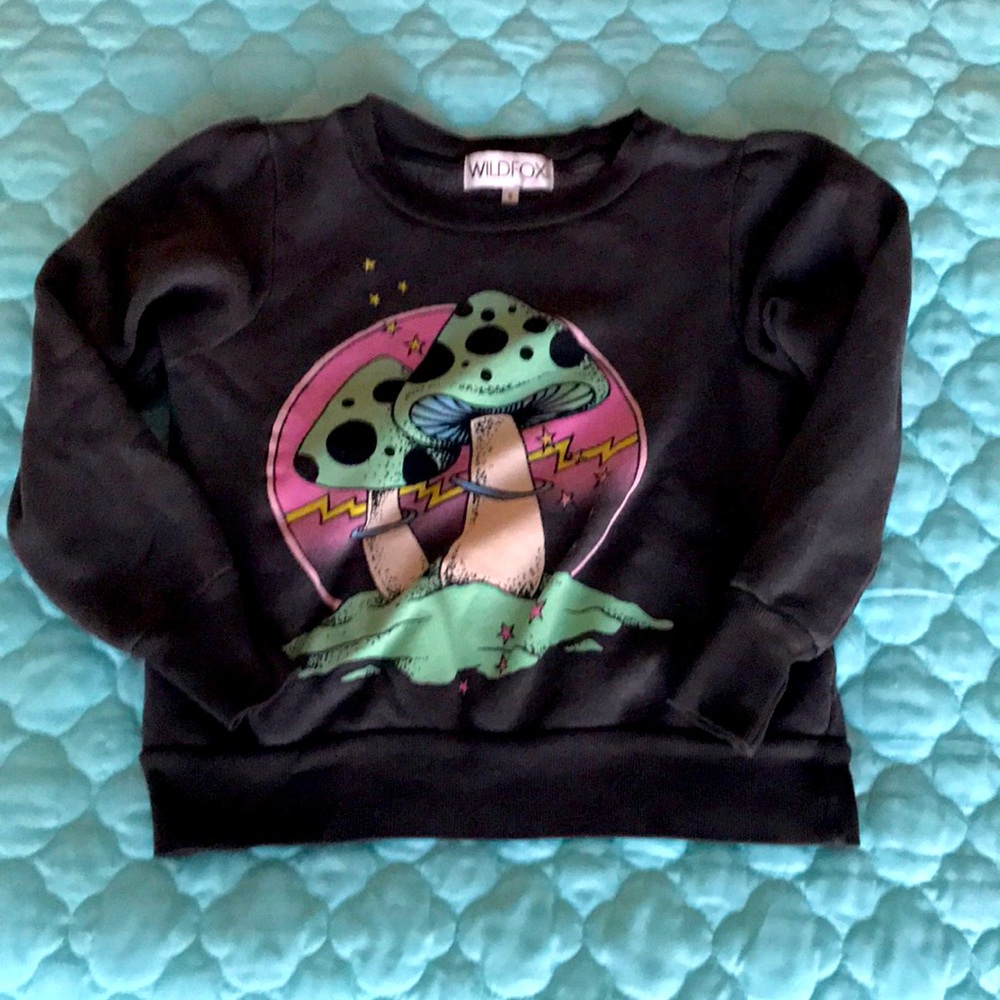 Wildfox Cropped Mushroom Sweatershirt